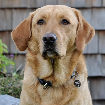 MYLUCKYTAG Stainless Steel QR Code Pet ID Tags Dog Tags - Pet Online Profile - Scan QR Receive Instant Pet Location Alert Email