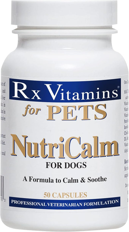 Rx Vitamins NutriCalm Dog Anxiety Relief - Dog Separation Anxiety Supplement - Calming Aid for Dogs - Keep Dog Calm for Vet, Thunder, & Travel - 50 ct