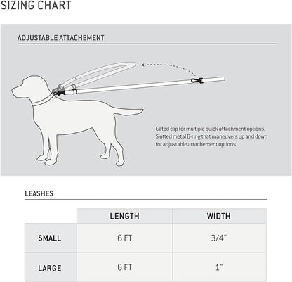 Carhartt Pet Durable Nylon Webbing Leashes for Dogs, Reflective Stitching for Visibility, Light Moss, Large