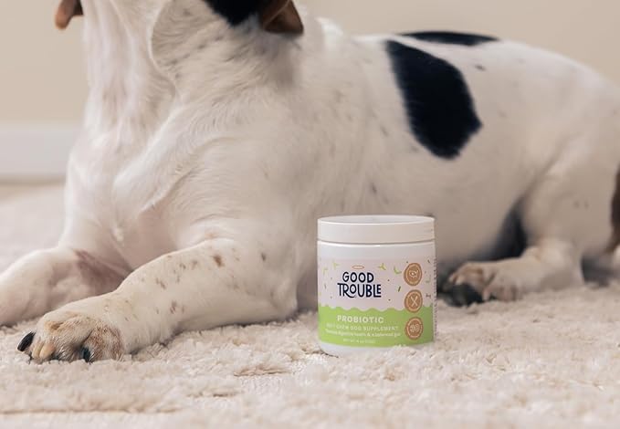 Good Trouble Pets Probiotic Supplement for Dogs - Chicken Flavor, 30 Chews - Enhanced Digestive Support (Packs of 2)