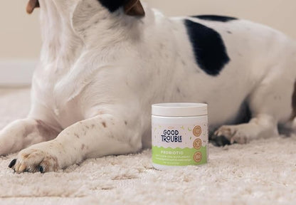 Good Trouble Pets Probiotic Supplement for Dogs - Chicken Flavor, 30 Chews - Enhanced Digestive Support (Packs of 2)