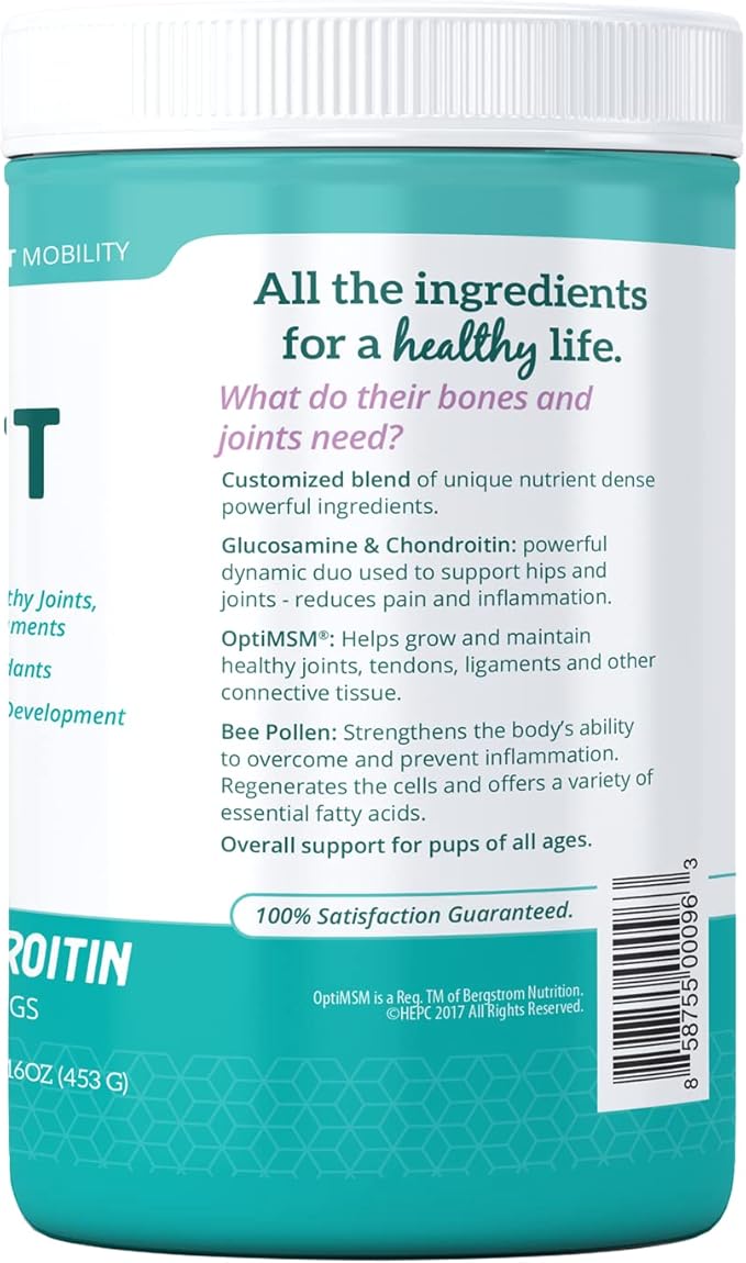 Health Extension Chondroitin with Glucosamine for Dog, Arthritis Pain Relief Vitamin, Joint & Hip Supplement Cheese Flavored Powder, Suitable for All Types of Puppies & Dogs, (16 Oz / 454 g)
