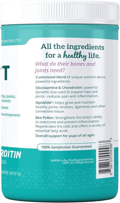 Health Extension Chondroitin with Glucosamine for Dog, Arthritis Pain Relief Vitamin, Joint & Hip Supplement Cheese Flavored Powder, Suitable for All Types of Puppies & Dogs, (16 Oz / 454 g)