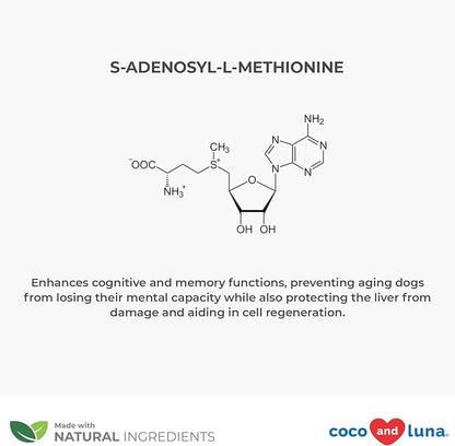 SAMe for Dogs - S-Adenosyl-L-Methionine, Liver Supplements for Dogs - Brain Supplement for Dogs, Promotes Cognitive Support, Liver Support Supplement