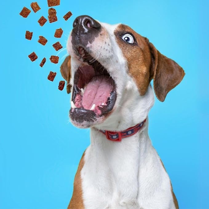 Soft Chews Bite Size Training Treats Made in USA, 1lb Slow Roasted BBQ Beef Jerky for Small, Medium & Large Dogs & Puppies Ideal Reward 90% American Meat
