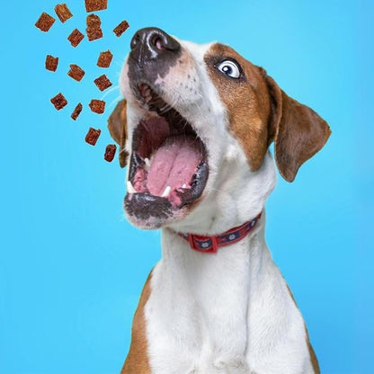 Soft Chews Bite Size Training Treats Made in USA, 1lb Slow Roasted BBQ Beef Jerky for Small, Medium & Large Dogs & Puppies Ideal Reward 90% American Meat