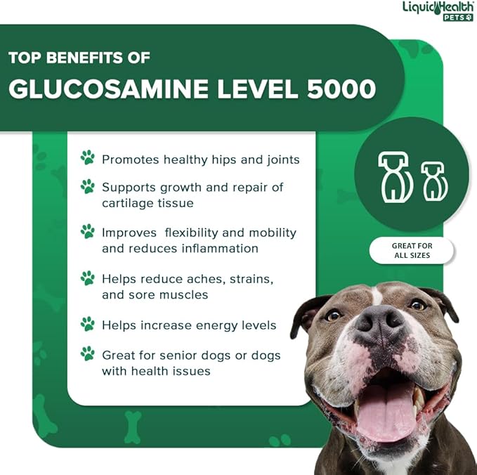 LIQUIDHEALTH 32 Oz K9 Liquid Glucosamine for Dogs Level 5000 with Glucosamine Chondroitin, Dogs MSM, Boswellia Serrata – Dog Hip and Joint Health, Dog Vitamins for Dog Joint Pain, Dog Joint Oil
