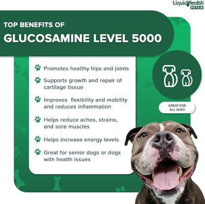 LIQUIDHEALTH 32 Oz K9 Liquid Glucosamine for Dogs Level 5000 with Glucosamine Chondroitin, Dogs MSM, Boswellia Serrata – Dog Hip and Joint Health, Dog Vitamins for Dog Joint Pain, Dog Joint Oil