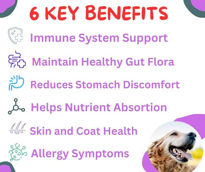 FREYDELL Pets Probiotics for Dogs Dog Upset Stomach Relief Dog probiotic, Fiber Supplement for Dogs, Yeast Infection Treatment for Dogs & Dog Diarrhea Medication, Probiotic for Dogs of All Ages.
