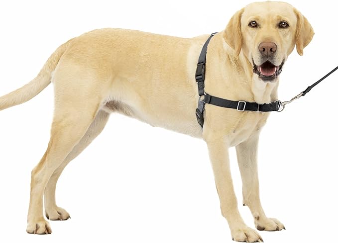 PetSafe Easy Walk No-Pull Dog Harness - The Ultimate Harness to Help Stop Pulling - Take Control & Teach Better Leash Manners - Helps Prevent Pets Pulling on Walks - Large, Charcoal/Black