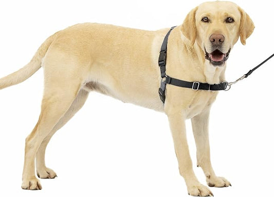 PetSafe Easy Walk No-Pull Dog Harness - The Ultimate Harness to Help Stop Pulling - Take Control & Teach Better Leash Manners - Helps Prevent Pets Pulling on Walks - Large, Charcoal/Black