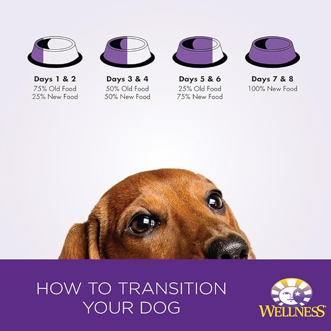 Wellness Petite Entrees Casserole Natural Grain Free Wet Small Breed Dog Food, Tender Chicken, 3-Ounce Cup