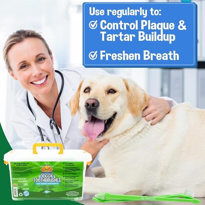 Bodhi Dog Dual-Headed Long Dog & Cat Toothbrush | Puppy Toothbrush with Soft Bristles for Pet Dental Care | Easy Teeth Cleaning Dog Toothbrush, 100 Count