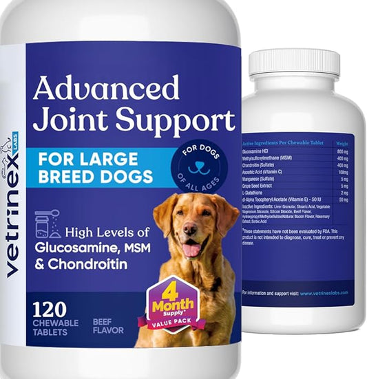 Joint Support Supplement for Large Dogs - Hip and Joint Chewable Tablets for Large Breed Dogs with Glucosamine, Chondroitin, and MSM, Beef Flavor, 120 Tablets