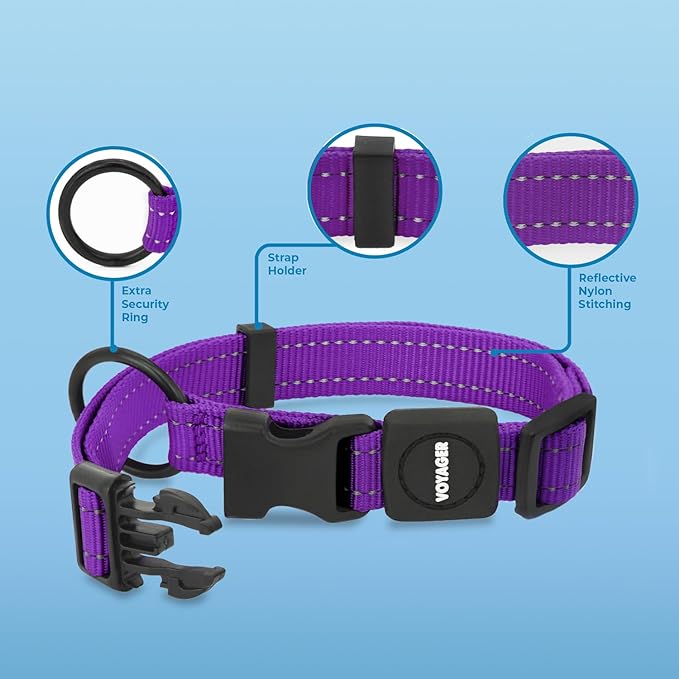 Voyager Reflective Dog Leash Collar Set with Neoprene Handle Supports Small, Medium, and Large Breed Puppies, Cute and Heavy Duty for Walking, Running, and Training - Purple, L