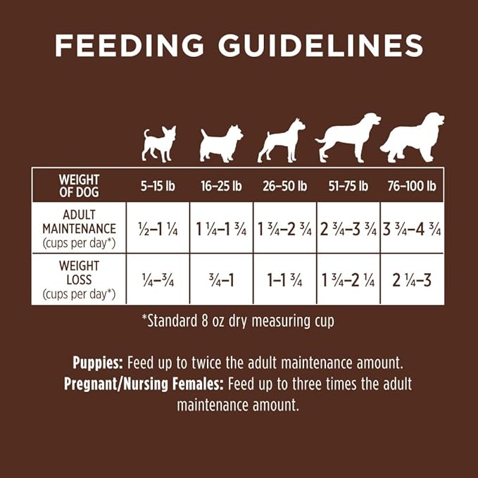 Real Salmon & Brown Rice Recipe Natural Dry Dog Food, 24 lb. Bag