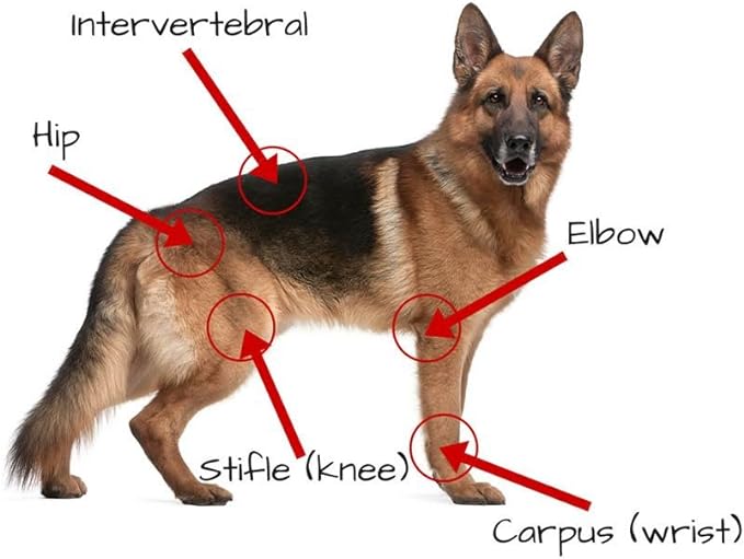 Extend Joint Care for Dogs