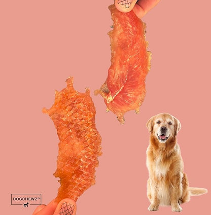 DOGCHEWZ™ Premium Chicken Breast Tender Jerky for Dogs All Natural Human Grade Dog Chew (1 LB Bag) - Single Ingredient - No Artificial Flavors or Preservatives - Whole Dehydrated Chicken