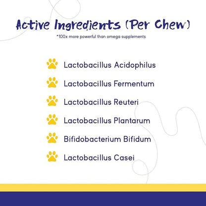 PupGrade Digestive Support Chews for Dogs - Prebiotic and Probiotic Supplement with Enzyme Blend - Upset Stomach, Diarrhea, Bowel, and Immune Support - Pumpkin, Blueberry, Mineral Oil - 60 Soft Chews