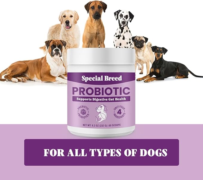 Probiotic Powder for Dogs - Probiotics Digestive Supplement with Bone Broth for Your Dog, Supports Healthy Pet Digestion, 8.2 oz