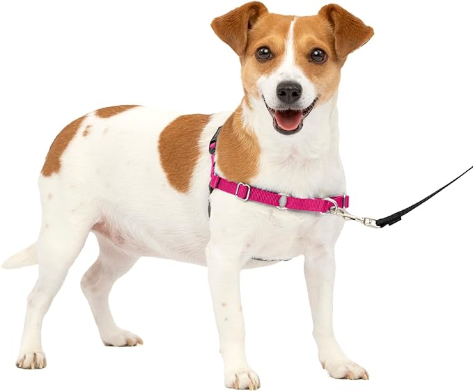 PetSafe Easy Walk Dog Harness - No Pull Dog Harness - Small, Raspberry