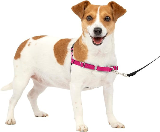 PetSafe Easy Walk Dog Harness - No Pull Dog Harness - Small, Raspberry