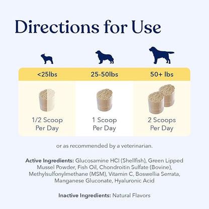 Honest Paws Mobility Bone and Joint Supplement for Dogs - Enhance Bone Health Lubricate Joints - Green Lipped Mussel, Glucosamine, Fish Oil, Chondroitin Sulfate, MSM, Vitamin C with Natural Flavors