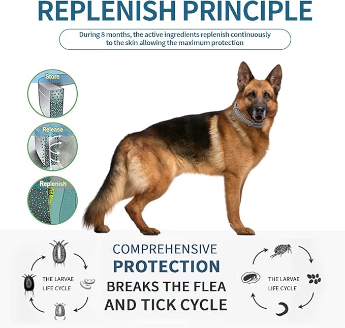 Flea and Tick Collar for Dogs, 8 Month Flea and Tick Prevention for Dogs, 27 inch Adjustable