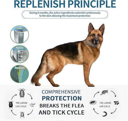 Flea and Tick Collar for Dogs, 8 Month Flea and Tick Prevention for Dogs, 27 inch Adjustable