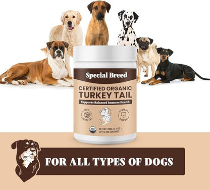 Turkey Tail Mushroom for Dogs and Cats - Certified Organic Turkey Tail Powder, Canine Immune Support, 200 Grams