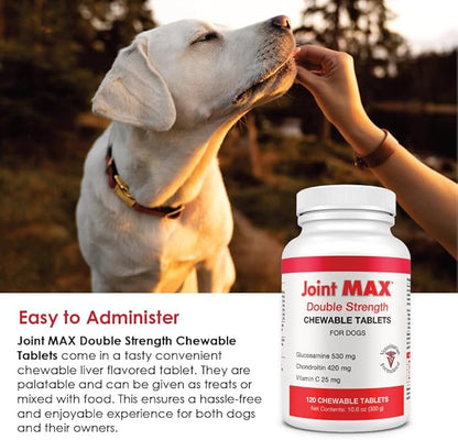 Double Strength Chewable Tablets for Dogs, Glucosamine, Chondroitin, Vitamins & Antioxidants, Hip & Joint Pain Relief & Support Supplement - Veterinarian Formulated, Made in USA, 120 Tablets