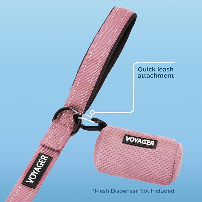 Best Pet Supplies Voyager Reflective Dog Leash with Neoprene Handle, 5ft Long, Supports Small, Medium, and Large Breed Puppies, Cute and Heavy Duty for Walking, Running, and Training - Pink,3/4" x 5ft