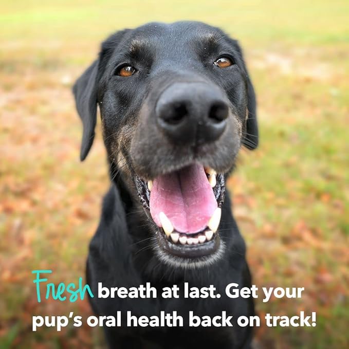 iHeartDogs Brushy Sticks - Dental Treats for Dogs Removes Plaque and Tartar Buildup - Grain-Free Dog Teeth Cleaning Chews Made with Chicken - 30 Large Sticks