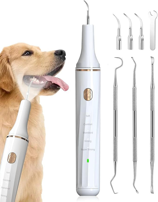 Hansaplast Plaque Remover for Teeth, Dog Teeth Cleaning, Dental Tools to Remove Tartar and Stains, Safe for Dogs & Cats, with Led Light & 5 Adjustable Modes (A-White)