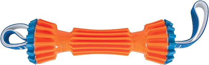 ChuckIt! Rugged Bumper Dog Toy, Medium