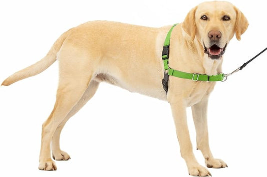PetSafe Easy Walk Dog Harness - No Pull Dog Harness - Large, Apple Green