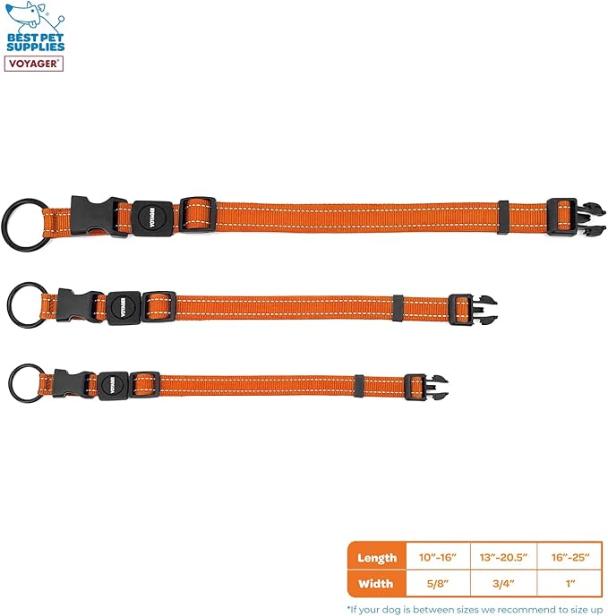 Best Pet Supplies Reflective Dog Collar with Adjustable Length, Heavy-Duty Buckle, and Strong Leash D-Ring, Training, Walking, Jogging Accessory for Small, Medium, and Large Breeds - Orange, S
