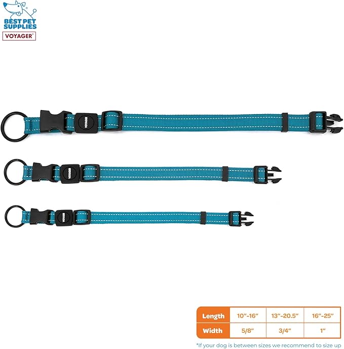 Best Pet Supplies Reflective Dog Collar with Adjustable Length, Heavy-Duty Buckle, and Strong Leash D-Ring, Training, Walking, Jogging Accessory for Small, Medium, and Large Breeds - Turquoise, L