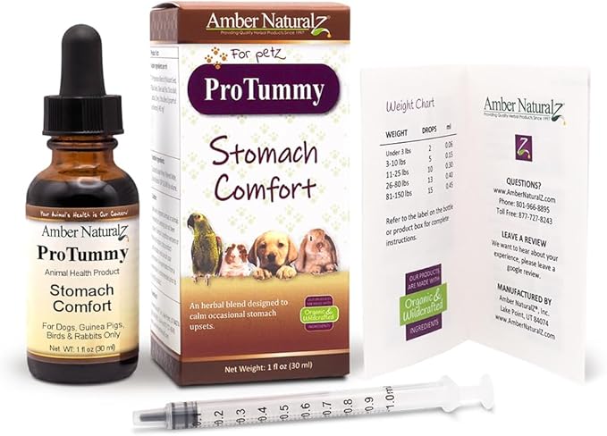 Amber NaturalZ ProTummy Stomach Comfort Herbal Blend for Dogs, Bird, Guinea Pigs, and Rabbits | Herbal Supplement for Occasional Upset Stomach | 1 Fluid Ounce Glass Bottle | Manufactured in The USA