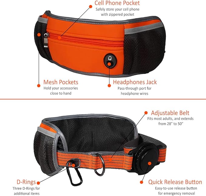 Penn-Plax Quick-Release Adventure Belt and Bungee Leash Combo – A Hands-Free Connection with Your Dog – Great for Walking, Jogging, Hiking, and Other Outdoor Activities