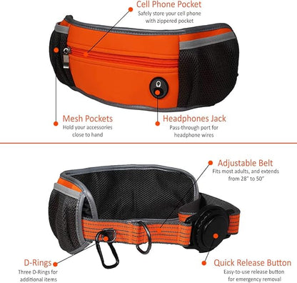 Penn-Plax Quick-Release Adventure Belt and Bungee Leash Combo – A Hands-Free Connection with Your Dog – Great for Walking, Jogging, Hiking, and Other Outdoor Activities