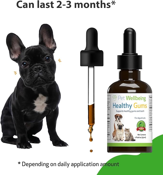 Pet Wellbeing - Healthy Gums for Dogs - Natural Supplement for Healthy Gums, Teeth and Breath against Dog Gingivitis - 2oz (59ml).
