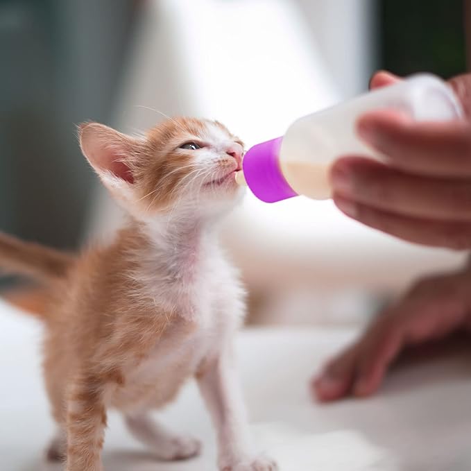 16 Pieces Pet Feeding Bottle Kit Kitten Bottles Kitten Milk Replacer Puppy Milk Feeder with Replacement Nipples Puppy Feeding Bottles for Small Animals Newborn Dog and cat Nursing Supplies