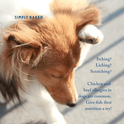 Wild Alaskan Salmon Grain-Free Dog Food | No Chicken or Other Animal by-Products | Rich in Omega 3 & 6 Fatty Acids | Sustainably Sourced Wild Caught Fish | Made in The USA | 4lb Bag