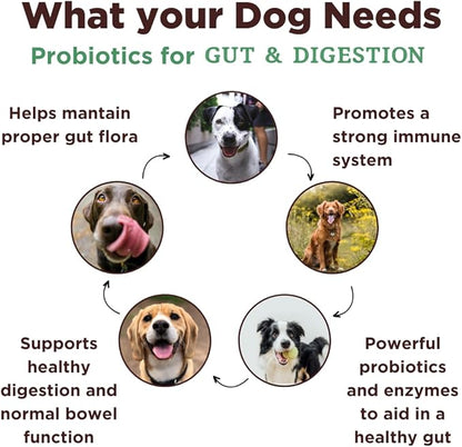 Mission-Proven Globally in Our Counterterrorism Work - Ultimate Probiotic Dog Chews-3X Number of Chews-Advanced Digestive Formula