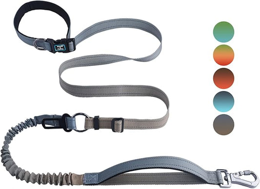 Roses&Poetry Dog Running Leash Hands Free,No Pull Bungee Dog Running Waist Leash for Walking Training with Car Seatbelt 4-6FT