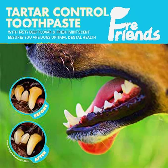 FRESH FRIENDS Enzymatic Toothpaste for Dogs | Puppy Toothpaste | Gum Toothpaste | Improves Gum Health | Eliminates Bad Breath, Dog Toothpaste Tartar Remover & Plaque Remover | Dog Dental Care (Beef)
