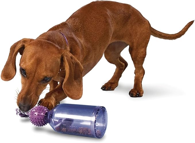 PetSafe Busy Buddy Tug-A-Jug Dog Toy – Slow Feeder and Trainer – Small