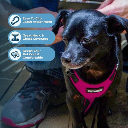 Voyager Step-in Lock Dog Harness w Reflective Dog Leash Combo Set with Neoprene Handle 5ft - Supports Small, Medium and Large Breed Puppies/Cats by Best Pet Supplies - Fuchsia/Black Trim, L
