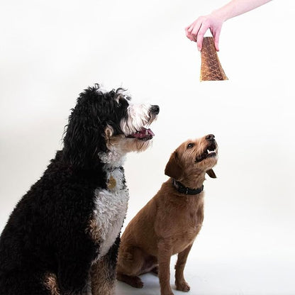 Pupford Beef Jerky Treats for Dogs for Large & Small Dogs of All Ages | Made in USA, 100% Real Meat & No Fillers | Dogs Love These Tasty Dog Snacks (Beef 4 oz)